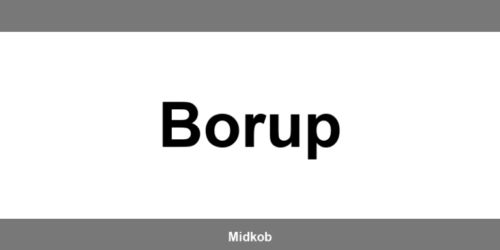 Harald Nyborg Borup åbningstider