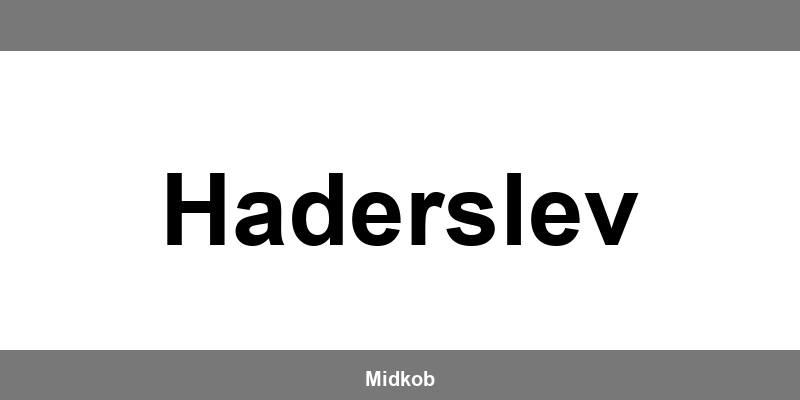 Harald Nyborg Haderslev åbningstider