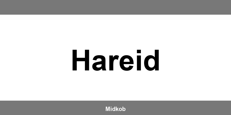 Harald Nyborg Hareid åbningstider