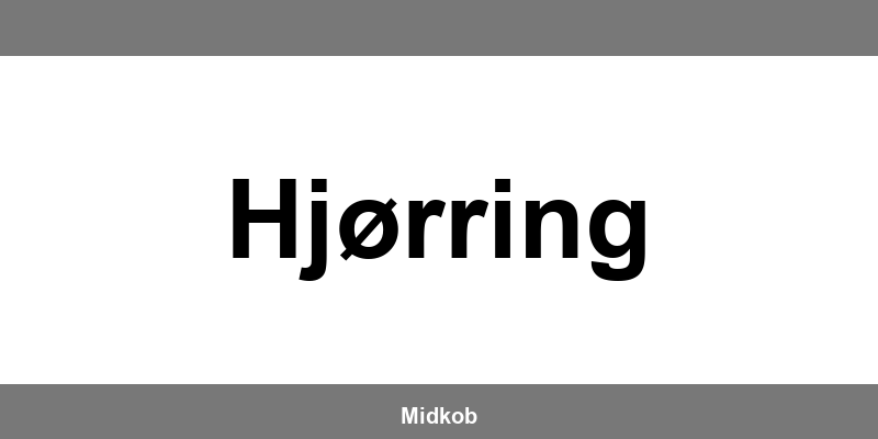 Harald Nyborg Hjørring åbningstider