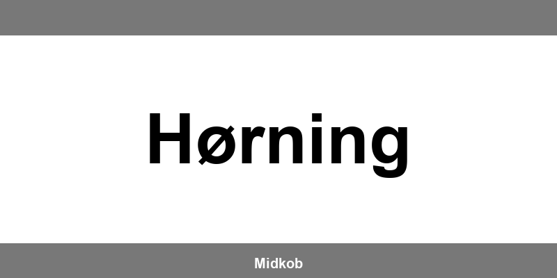 Harald Nyborg Hørning åbningstider