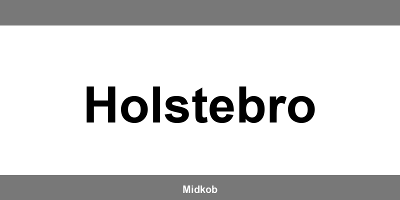 Harald Nyborg Holstebro åbningstider
