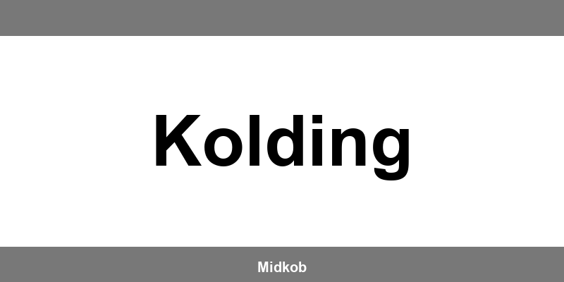 Harald Nyborg Kolding åbningstider