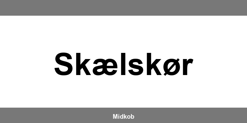 Harald Nyborg Skælskør åbningstider
