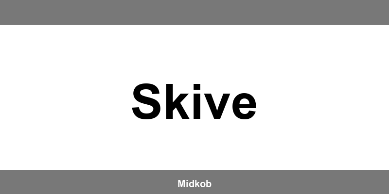 Harald Nyborg Skive åbningstider